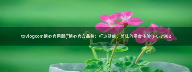 糖心blong：txvlogcom糖心官网版(\