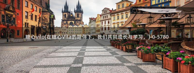 糖心Vlgo兑换码：糖心vilo(在糖心Vila的陪伴下，我