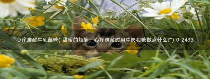 糖心精品：心痒难耐牛乳蘸糖(\
